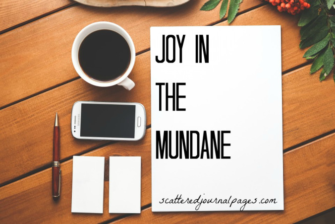 joy-in-the-mundane